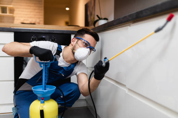 Best Wasp Removal Services  in Clewiston, FL