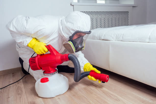 Wasp Removal Services in Clewiston, FL