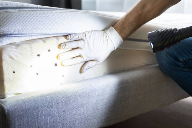 Trusted Clewiston, FL Pest Control Experts