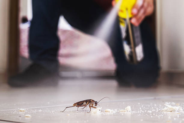 Best Flea Control Services  in Clewiston, FL