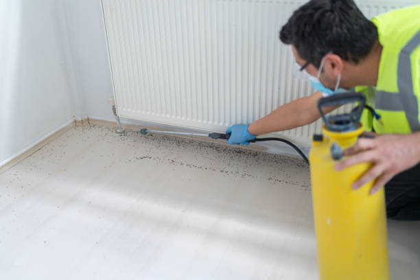 Best Rat Extermination Near Me  in Clewiston, FL