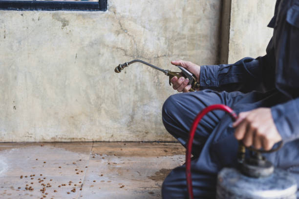 Best Best Pest Control Companies  in Clewiston, FL