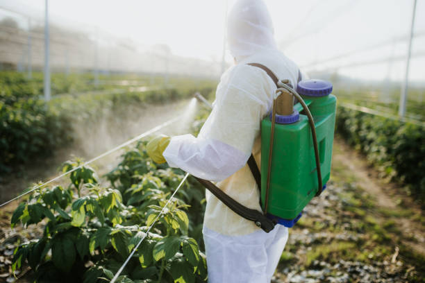 Best Emergency Pest Control  in Clewiston, FL